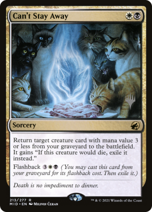 c6973e20-495e-431b-9368-a3240b6c9eb8 Can't Stay Away