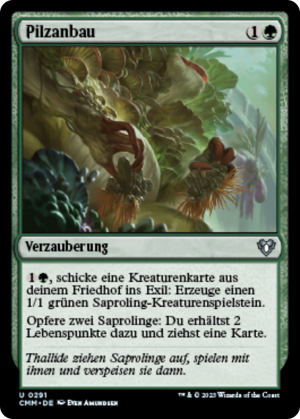 c7301c9c-568e-4d13-bd01-15227bf090d0 Fungal Plots