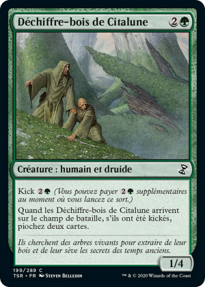 c73e1064-a5c5-46df-9cbf-0184ee1eb317 Citanul Woodreaders