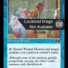c7934654-918c-4c9f-9ba3-9ba904b54218 Wizard Mentor