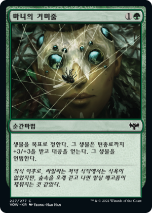 c8f4653a-0ca4-4a85-a91f-0bc826dd4a14 Witch's Web