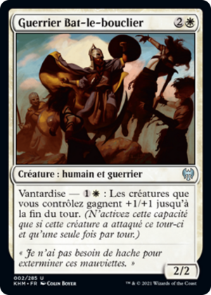 c8f617dc-2909-4e5d-b734-60e9a41b1a88 Battershield Warrior