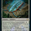 Cryptic Trilobite