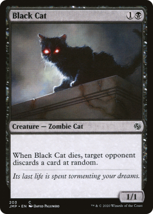 c90a12af-b453-4d83-9a14-5411b562d480 Black Cat