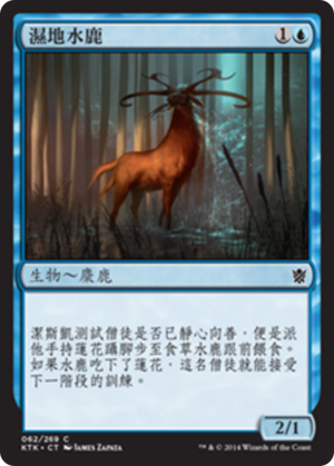 c967fef0-a1b9-483d-8795-33de6eb539c5 Wetland Sambar