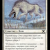 Tundra Wolves