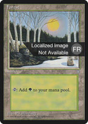 ca15c28f-cbb7-44b8-8bc7-6c1d1ded10f1 Forest