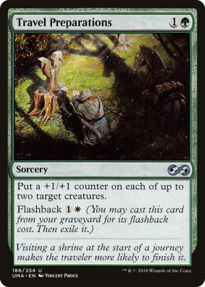 cb41317e-9263-49a1-92d4-323613677e34 Travel Preparations