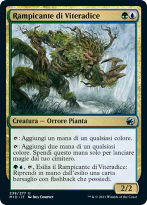 Rootcoil Creeper