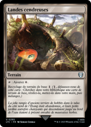 ccafa2b6-eff8-4466-ab06-5866997ec2fa Ash Barrens