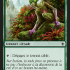 Blossom Dryad