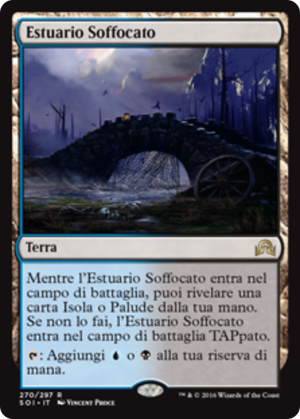 cd9b20d1-8f41-49ca-ba1d-4078b56d1c55 Choked Estuary