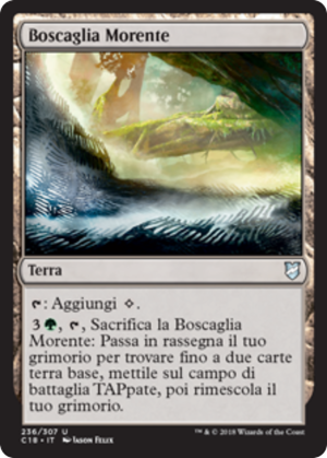 ce474c1b-b7c1-4c2b-8f06-239c49b4f44f Blighted Woodland