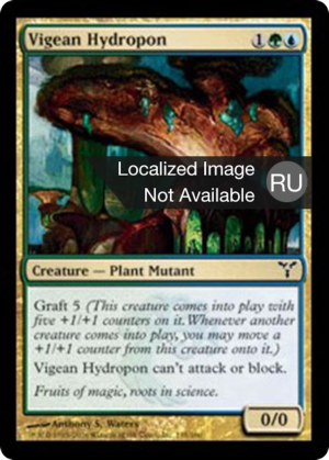 ce5f424e-c4ad-4efa-a502-b74de72ace0d Vigean Hydropon