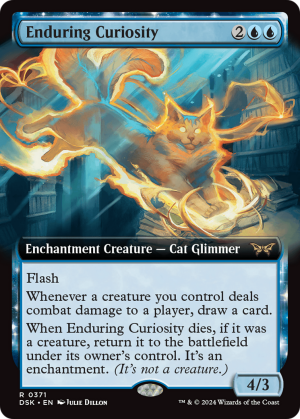 ce740fb7-d2d1-451b-bfa0-27364b804161 Enduring Curiosity