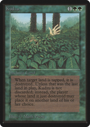 ced83afa-9718-4b8a-961b-394f8595c480 Kudzu