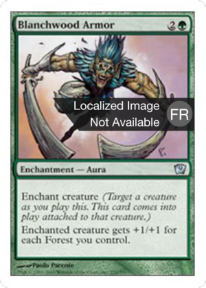 cf16780b-ac9a-4768-8d7f-f1d1a7e0d731 Blanchwood Armor