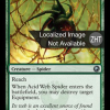 Acid Web Spider