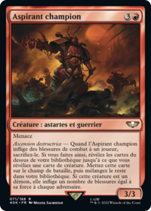 d00cb663-0864-48e7-95f7-0d46e29f8538 Aspiring Champion