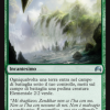 Zendikar's Roil