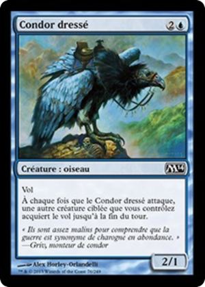 d0c7d457-ae43-46e1-b7c9-533f1e805389 Trained Condor