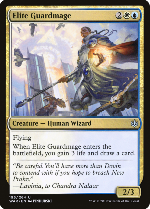 d2e40b14-48a2-4b9e-b767-e914cab04b30 Elite Guardmage