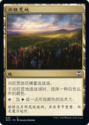 d4e0ca31-beaf-4b57-9760-668db68b5a52 Thriving Heath