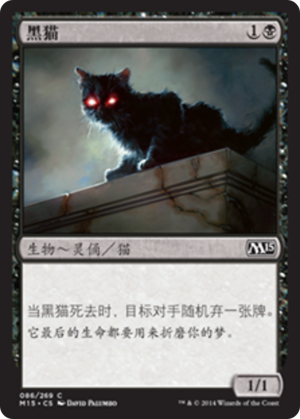 d551ecbb-44eb-4559-afb0-33a69eacdf4b Black Cat
