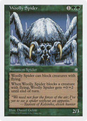 Woolly Spider