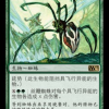 Silklash Spider
