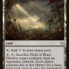 d72afb21-7bb0-4fd8-a529-ada92a654f61 Field of Ruin