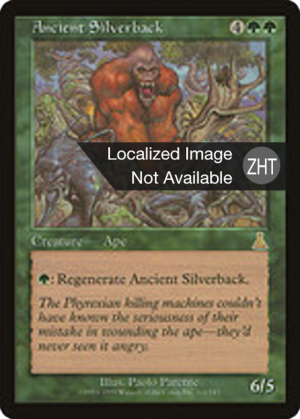 d783d911-19b4-492e-8e76-8191e1eb4fa4 Ancient Silverback