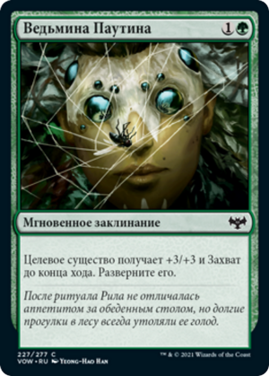 d9814332-7eda-45a2-94e8-81627df6d8e6 Witch's Web