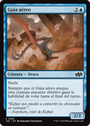 dabb56f2-1a42-42c6-a1ce-4871671916e5 Aerial Guide