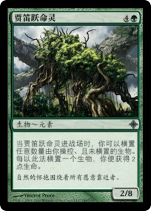 db127a60-f0b2-49e2-9d1a-a257a5dbbd19 Jaddi Lifestrider