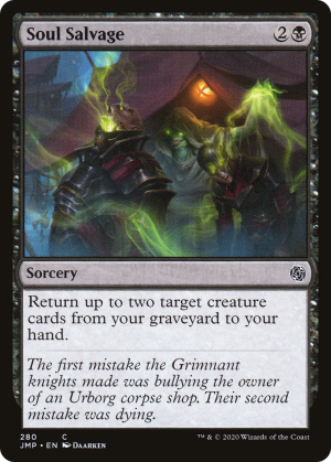 db574719-746a-433e-a5be-06d232a01021 Soul Salvage