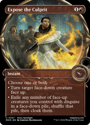 dbaae9b6-510f-4039-8cca-fe7d7c57f1c5 Expose the Culprit