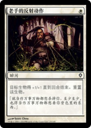 dc08b87c-946e-4edc-baea-5003c8bd4f86 Veteran's Reflexes