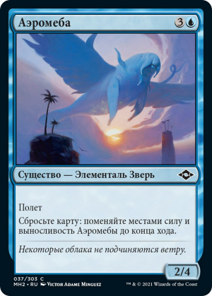 dc62d694-606a-4c0e-94bd-0d8aa5d0155e Aeromoeba