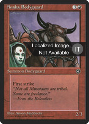 df7f77a3-47d8-4bce-a163-8bbb47c411d1 Anaba Bodyguard