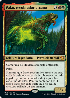 dfb0fea1-b663-4ba0-ab43-f9fa0e01c02c Pako, Arcane Retriever