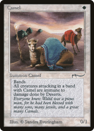 e0078aa8-bfb8-43b0-a6b7-1991596c21e1 Camel