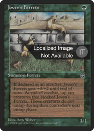 e0f612b4-b4e2-4495-a632-ed0e40de2497 Joven's Ferrets