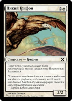 e1226625-1b02-431e-adeb-ac4fd8abe9d2 Wild Griffin