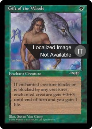 e1722a74-6e31-4a09-b815-b190ef6939cb Gift of the Woods