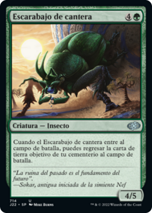 e1d1da42-9c72-4812-8bb4-36ce2e1a658f Quarry Beetle