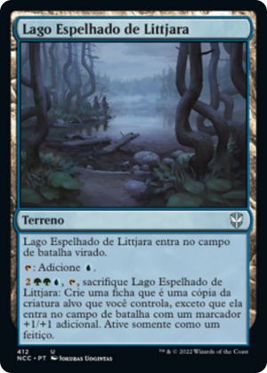 e44380b3-a49e-4e94-9932-6637d766a40a Littjara Mirrorlake