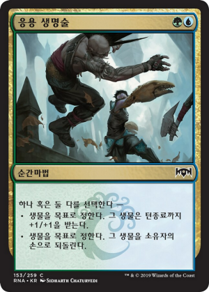 e4648108-54ee-4364-9b4f-932076c47ee2 Applied Biomancy