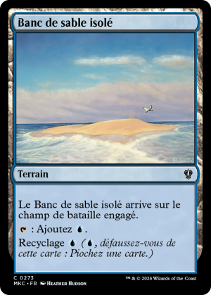 e50fd5da-b565-41cc-ae5e-358fb7ab89d9 Lonely Sandbar