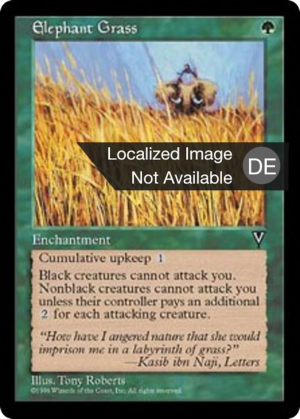 e607a46a-5a20-4ef3-9838-e9fbfdd82498 Elephant Grass